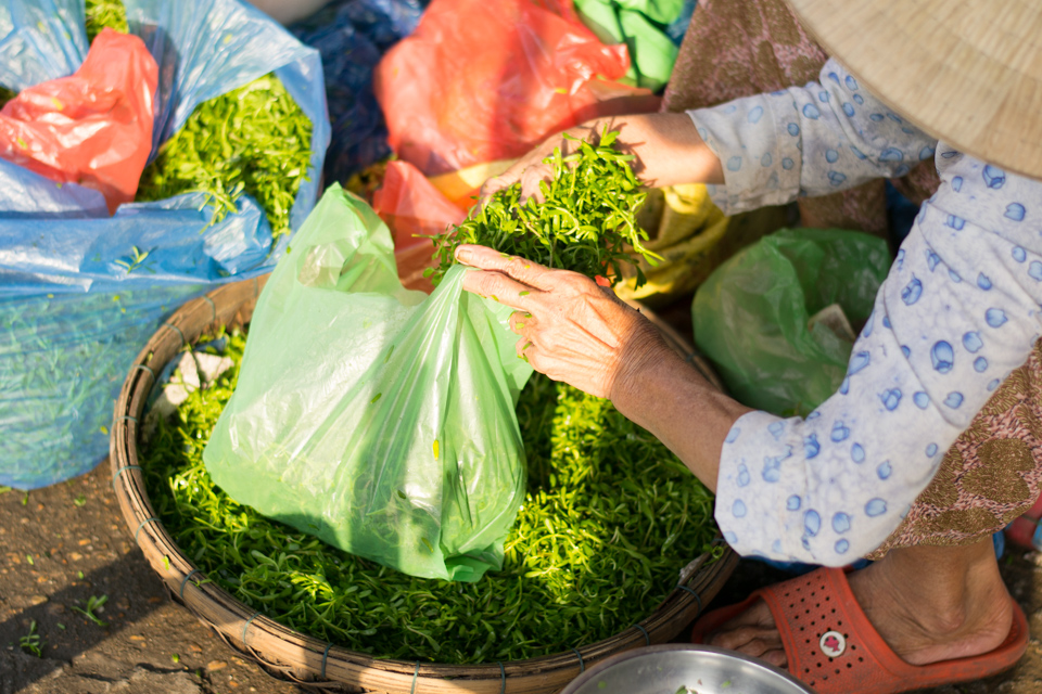 Elderly hands bagging vegetables