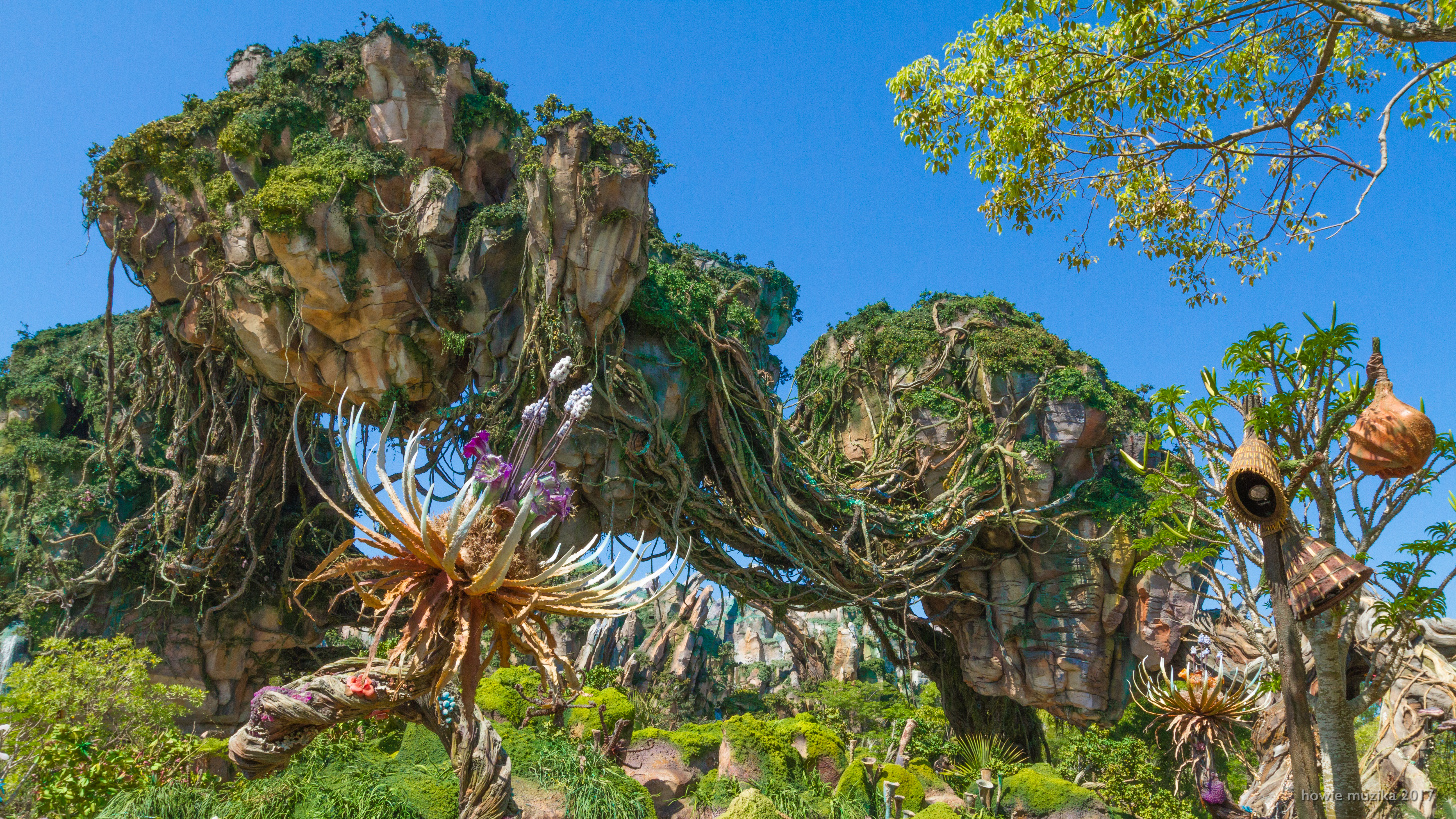 6 Reasons to Visit Disney's Pandora - The World of Avatar