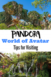 6 Reasons to Visit Disney's Pandora - The World of Avatar