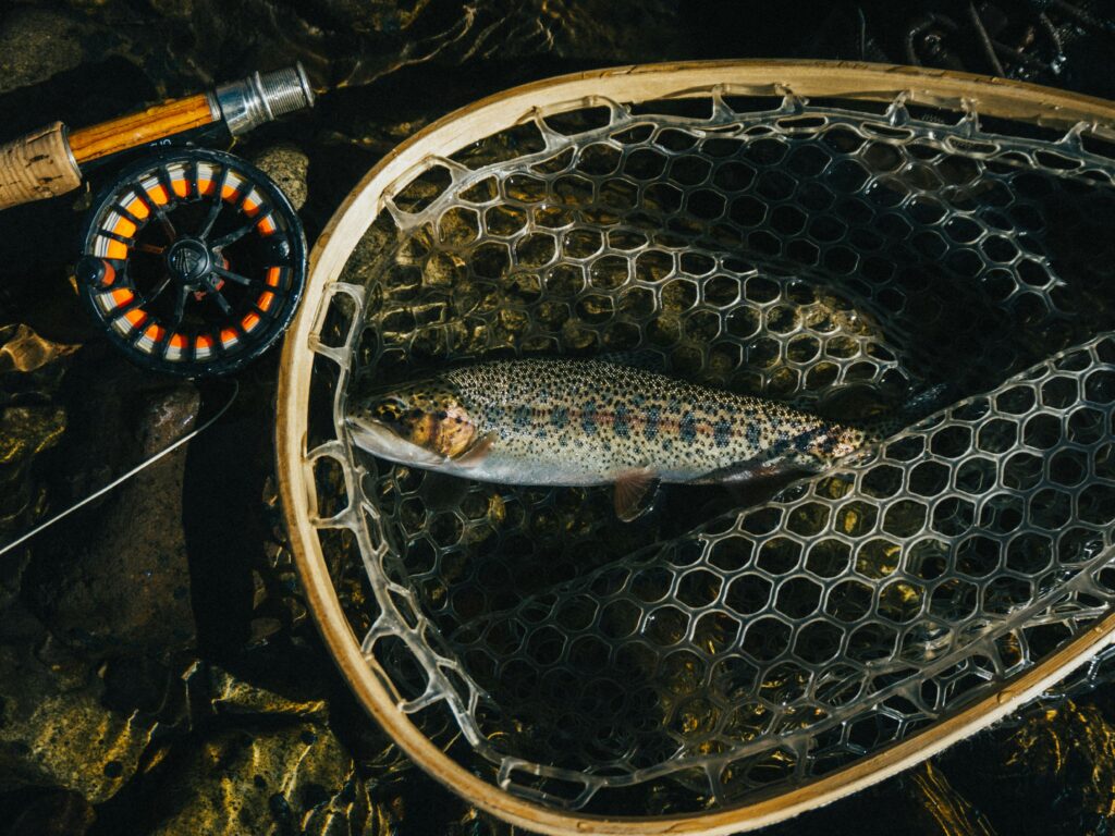 Fly fishing - things to do in big sky montana in winter