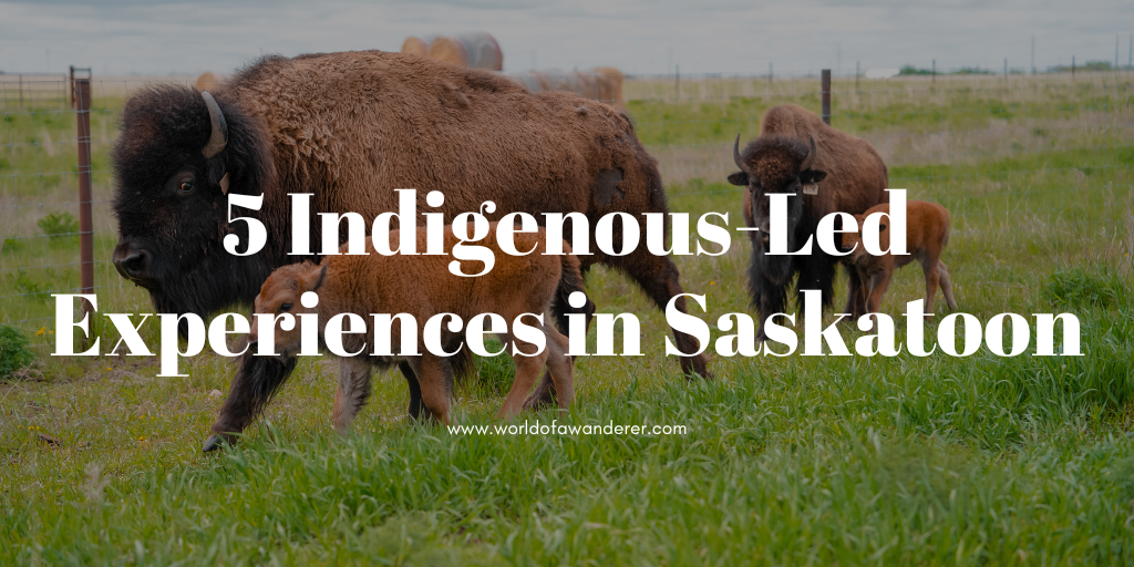 Indigenous-led experiences in Saskatoon, Saskatchewan